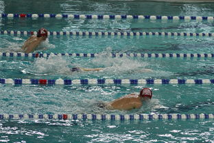 MILAN体育APP下载入口官网-亚洲游泳冠军赛孙杨携队友力夺接力金，中国游泳冠军孙扬